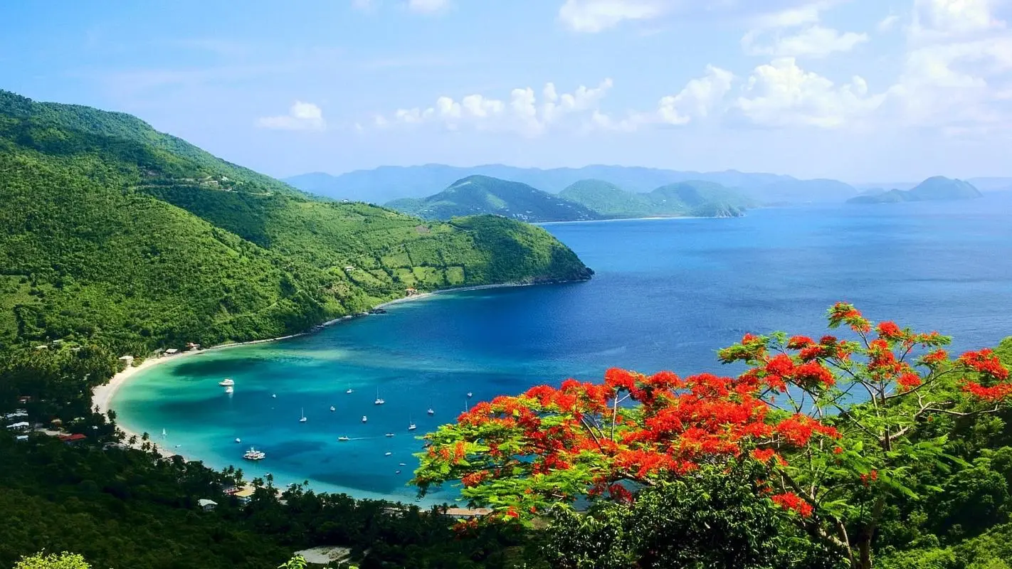 高质量信息化智能